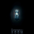The Disappointments Room (2016)