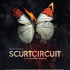 Scurtcircuit (2017)